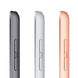 Apple iPad 8 10.2" Wi-Fi+Cellular 2020 128Gb Gray (MYML2, MYN72)